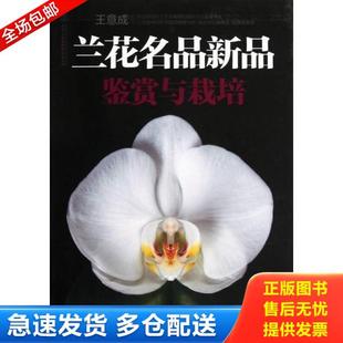 库存书9787553703756 江苏科学技术出版 兰花名品新品 王意成 社 鉴赏与栽培 正版