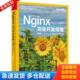 库存书9787121364365 罗剑锋 Nginx完全开发指南：使用C 正版 JavaScript和Lua 电子工业出版 社