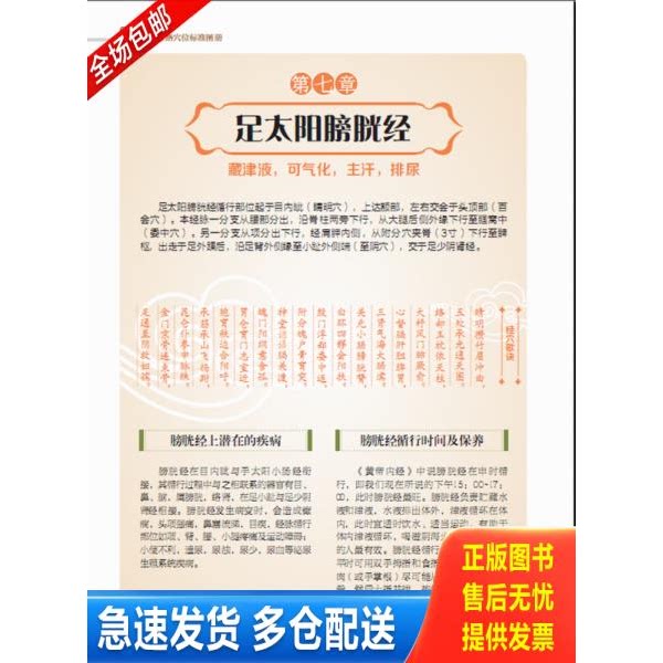 正版库存书视频互动穴位书：经络穴位标准图册 9787533766009 李志刚著 安徽科学技术出版社
