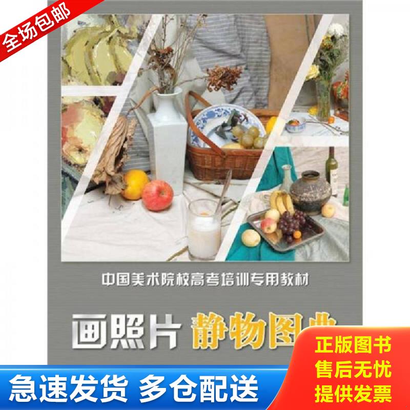 正版库存书中国美术院校高考培训专用教材：画照片 静物图典 赵锦杰 湖南美术出版社