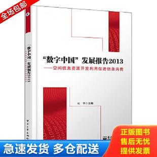 发展报告2013 数字中国 空间信息资源开发利用促进信息消费 杜平 社 正版 电子工业出版 库存书9787121237010