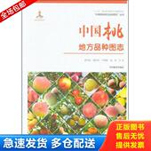 曹尚银 谢深喜 卢晓鹏 正版 中国林业出版 中国桃地方品种图志 倪勇著 社 库存书9787503893988