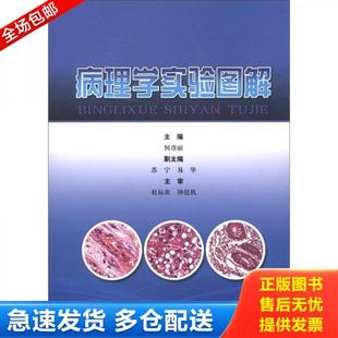 正版库存书9787547814406 病理学实验图解 何彦丽 上海科学技术出版社