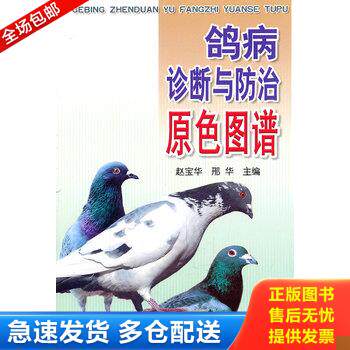 正版库存书鸽病诊断与防治原色图谱 9787508268934 赵宝华 金盾出版社