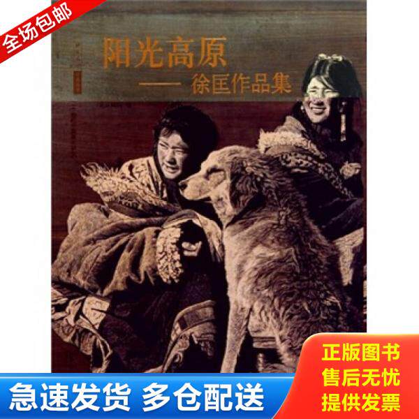 正版库存书 阳光高原：徐匡作品集 9787503943676 王明明 文化艺术出版社