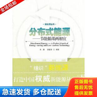 能源：节能低碳两相宜 新能源丛书·分布式 肖钢 张敏吉编著 社 正版 武汉大学出版 库存书9787307103948
