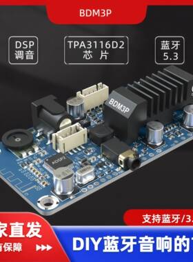 BDM3P蓝牙5.3功放TPA3116立体声2X50W便携音箱电动车音箱DSP调音
