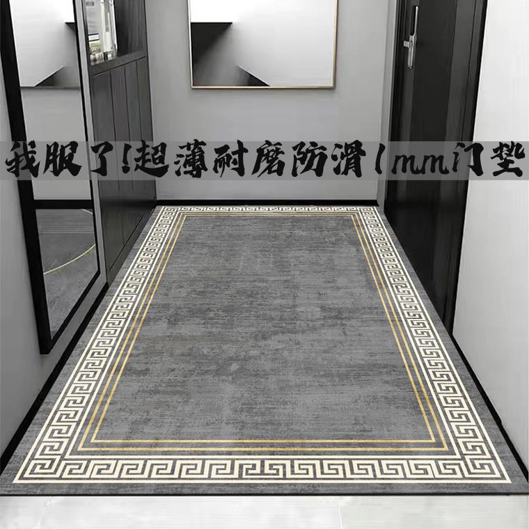 超薄1mm入户门进门脚垫不卡门地垫级薄款门口门垫可裁剪防滑地毯