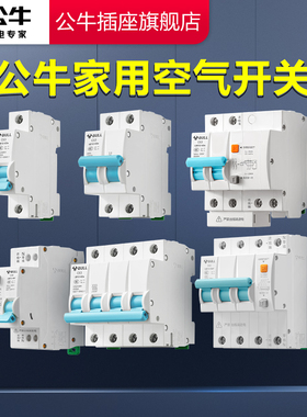 公牛空气开关LB12断路器空气开关1P2P断路器家用空开电闸开关63a