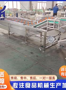 大型苹果机水果自动气清泡洗设备 海ZZF全蛎子泡椒小银鱼清洗机