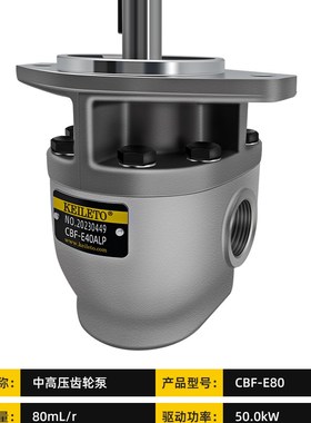 高压齿轮液压泵叉车油泵CBF-E10/16/18/25/1.5/32/40/50/63P ALPX