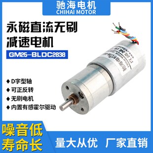 工厂直销 GM25BL2838直流无刷减速电机现货参数DC24V170RPM
