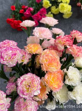 厂家康乃馨仿真花母亲节教师节仿真把束康乃馨绢花塑料供应商