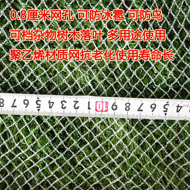 现货速发养鸡网网箱养殖网天网果园防鸟尼龙网拉网家禽网围栏护网