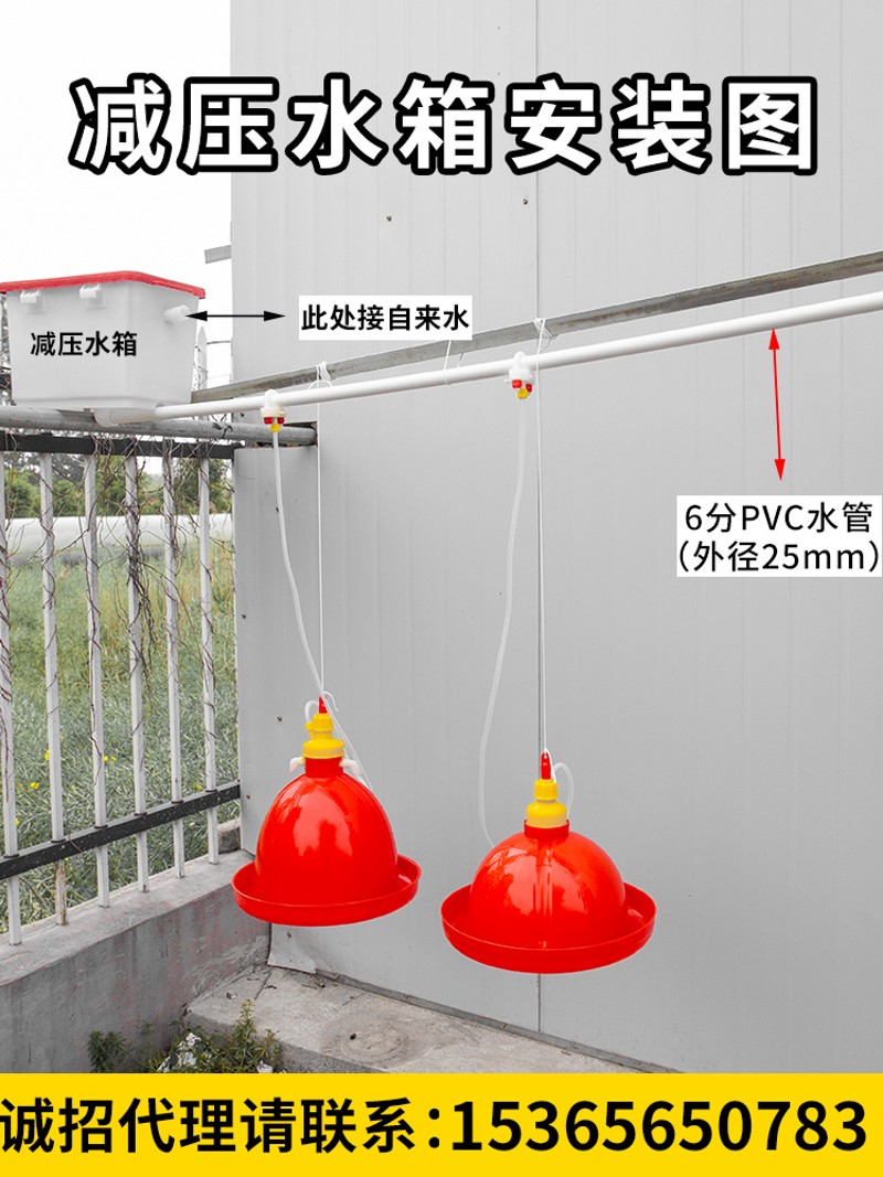 速发养殖养鸡设备水品普拉松自动饮用喂鸡鸭鹅用器水器鸡场喂鸡饮