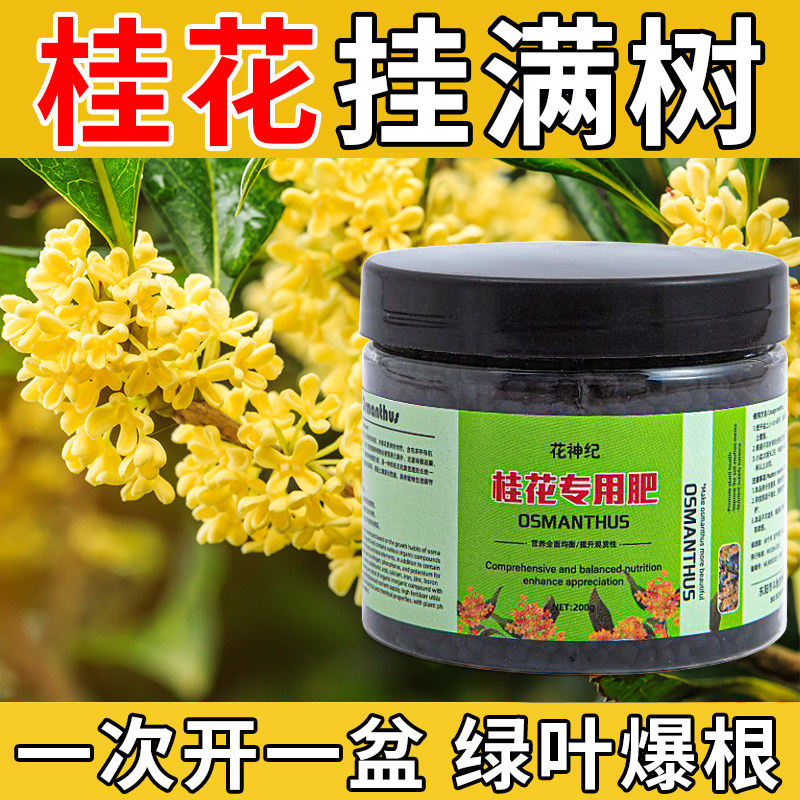 速发桂养树专用肥料花花花改善黄叶植机肥绿有盆栽四季通用型复合