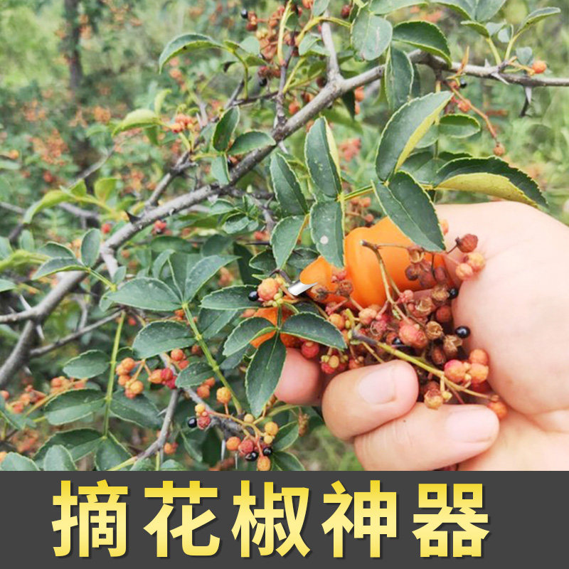 速发摘花椒神器樱桃菜掐尖手套指甲茶叶铁指甲采摘手掐剪护菜手拇