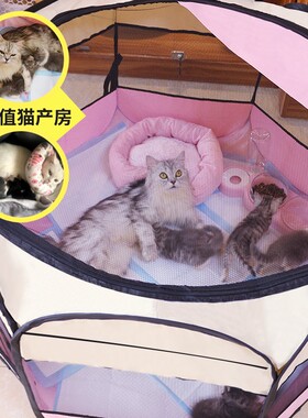 速发 deliverd roomoest tet pet dog pregacy breeyig b x