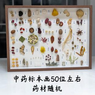 中药标本装饰画中药标本摆件画框大尺寸中药标本框壁纸背景组方