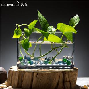 水培植物玻璃瓶長方形桌面綠蘿富貴竹花盆水培花卉花瓶魚缸器皿