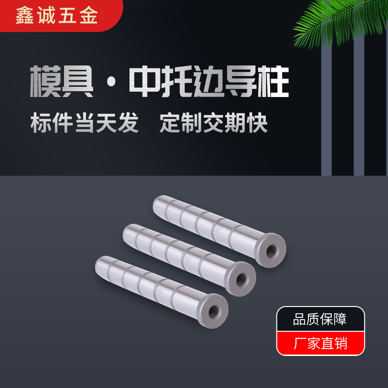 速发新品2rf1620250模具中托边egp攻牙导柱头部带牙导柱板