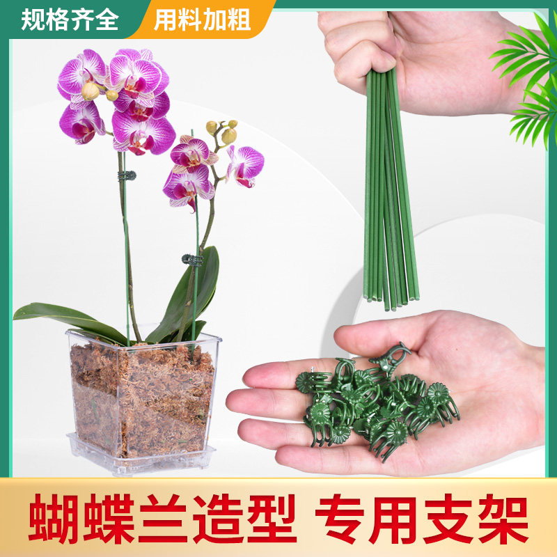 速发蝴蝶兰花支架兰夹子支撑杆藤物爬藤花卉固定蔓植类兰艺园花夹