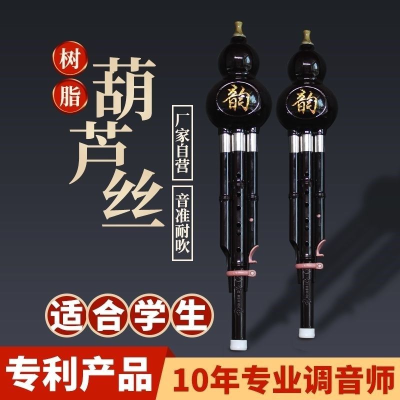 速发零基础自学葫芦丝降B调C调双音树脂成人儿童小学防摔初级入门