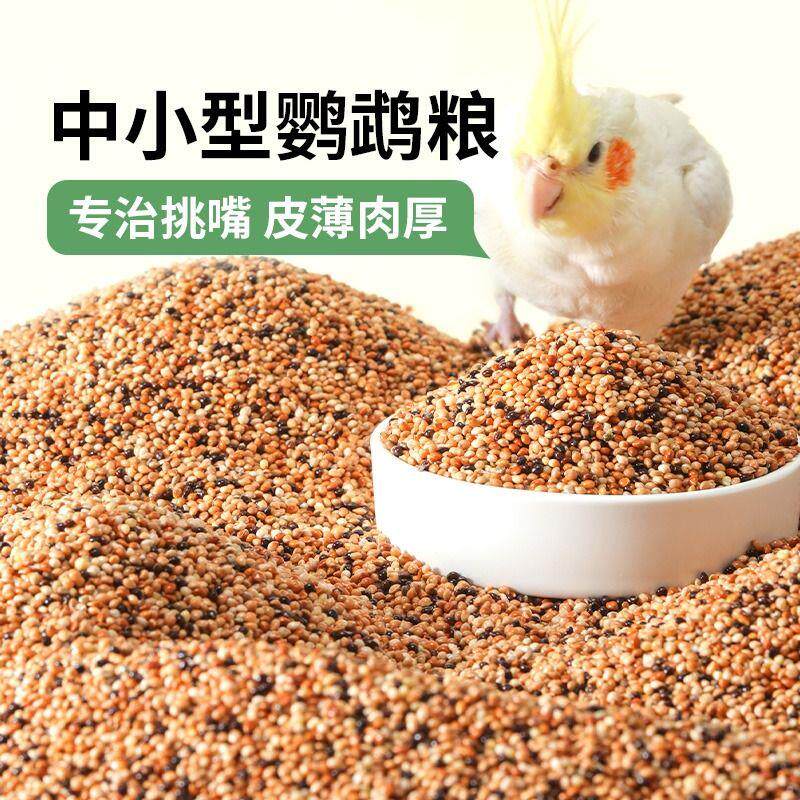 速发鹦鹉鸟粮饲料虎皮玄风牡丹饲料芦丁鸡粮食带壳鸟食五色黍子谷