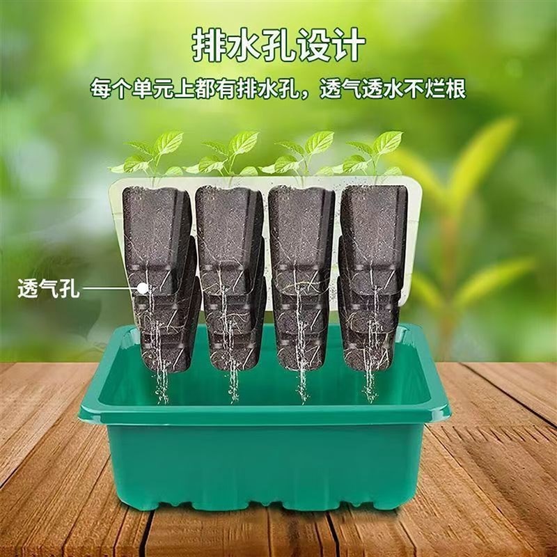 速发保温育苗箱大号高盖扦插盆播种育苗闷养盒叶插穴盘多肉叶插种