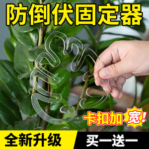 速发龟背竹支撑杆防倒伏固定春架支架固定器枝干花定固盆雨园艺绿
