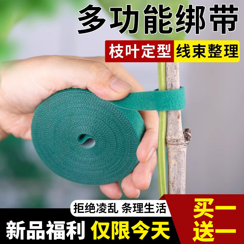 速发爬藤绿植造型魔面贴花园带强力双线粘园艺扎术用支撑插花固定