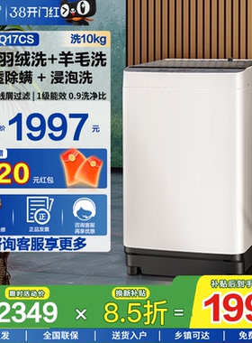 松下全自动10kg波轮洗衣机1级能效家用大容量除螨抗菌羊毛洗Q17CS