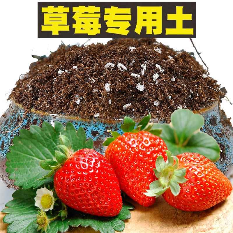 草莓专用营养土种植盆栽家用栽培养花弱酸性泥炭土通用有机肥育苗