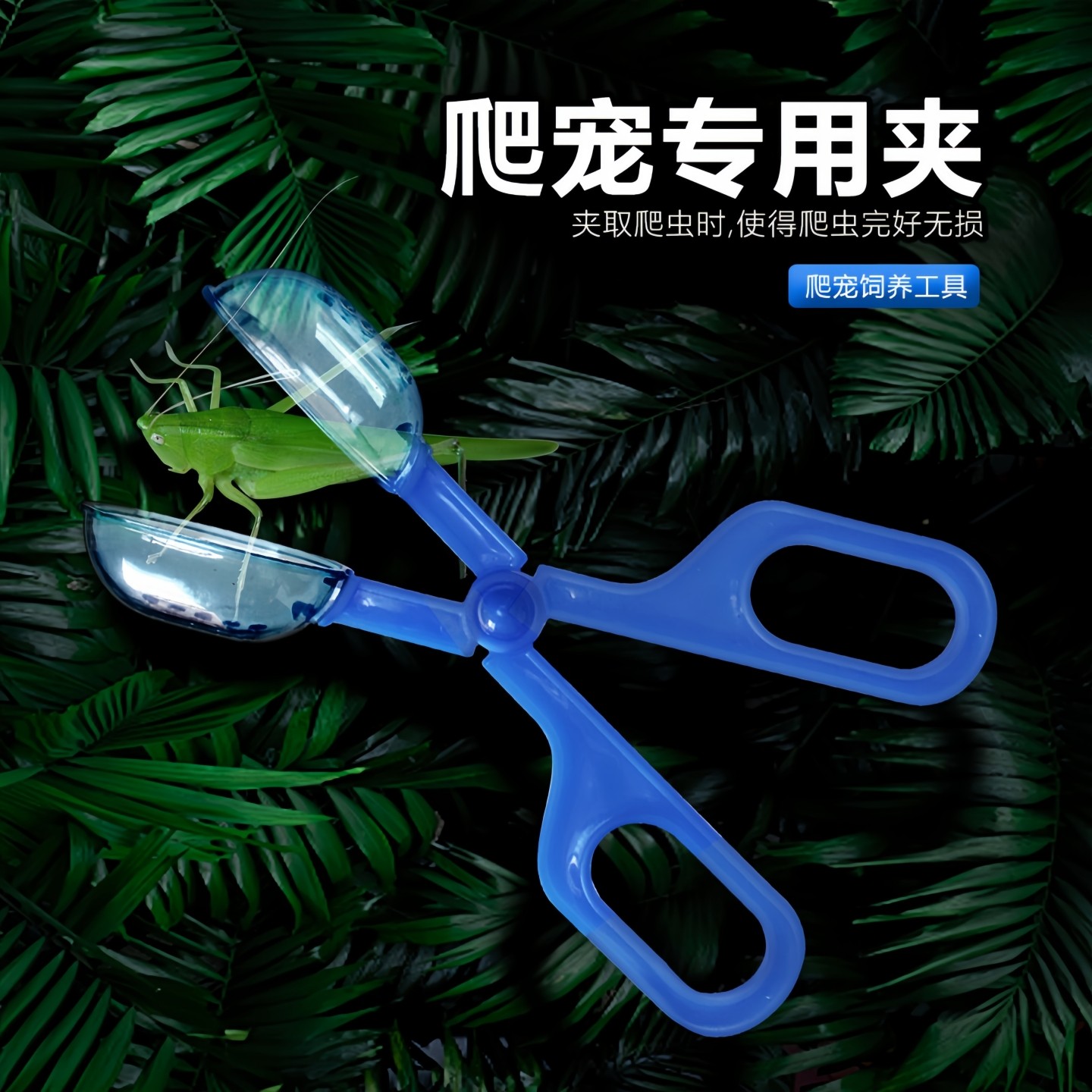 nomo诺摩爬虫夹子宠物爬虫昆虫蜘蛛蜥蜴蝎子毒虫夹塑料夹大麦虫夹,宠物/宠物食品及用品,爬宠清洁及日用品,淘宝优惠券,粉丝福利购,淘宝优惠卷