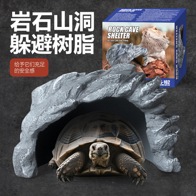 诺摩爬虫蛇蜘蛛乌龟晒台山洞