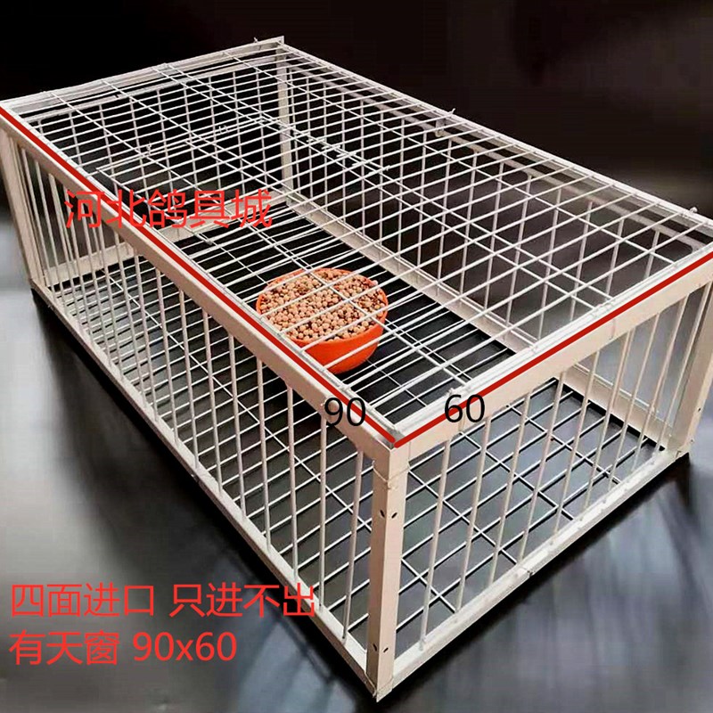 极速捕鸽神d器天落笼只进不出鸽子笼自动跳门撞门笼鸽子用品用具
