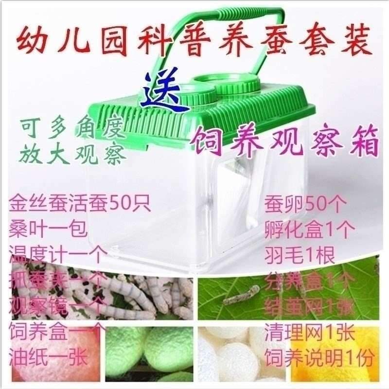 极速蚕宝c宝饲养箱养蚕清洁防水保温箱存活加长房子大小移动式