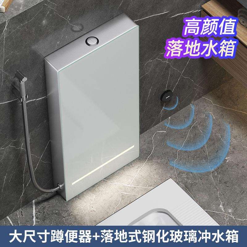 落地水箱大便器智能落地冲水箱带感应灯光脚感冲水卫生间蹲坑陶瓷