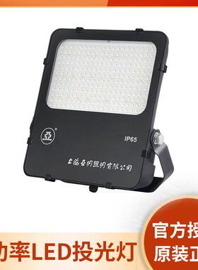 上海亚明GT57b 大功率LED投光灯 200W 300W 400W 500W 户外高杆灯