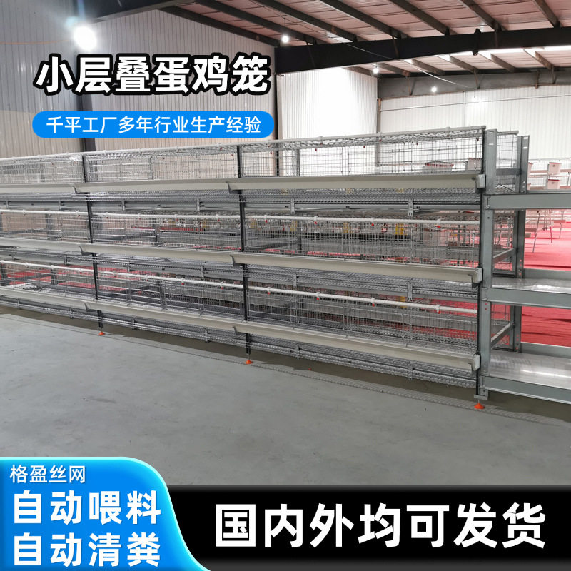 小层叠蛋鸡笼养鸡场用养殖设备自动化养鸡笼热镀锌清粪捡蛋蛋鸡笼