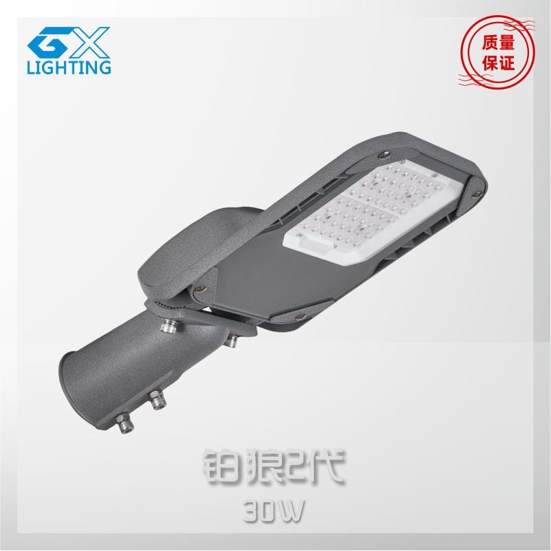 LED美丽乡村工程款路灯高亮防水工厂30w50w100w路灯户外庭院壁灯
