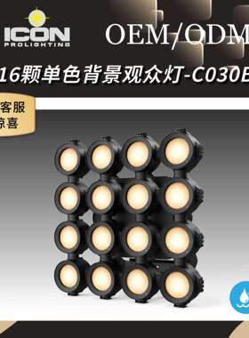 户外防水500W 16颗LED超大功率大眼观众灯单色面光补光影视舞台灯