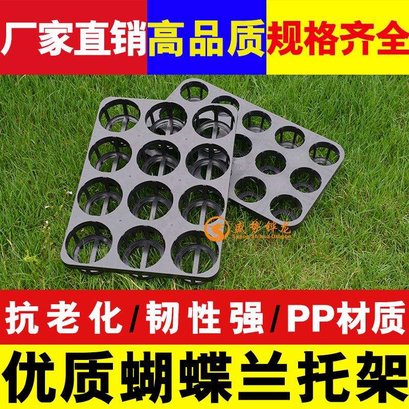12孔15孔穴盘 托盘花卉育苗盆托架 塑料托盘育苗穴盘 蝴蝶兰托盘