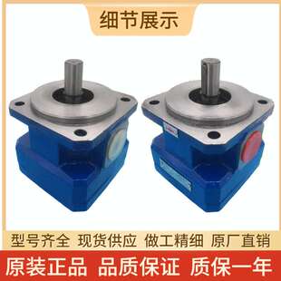 20R6.3 上海机床厂磨床齿轮泵GPA1 20R6.3GPA2