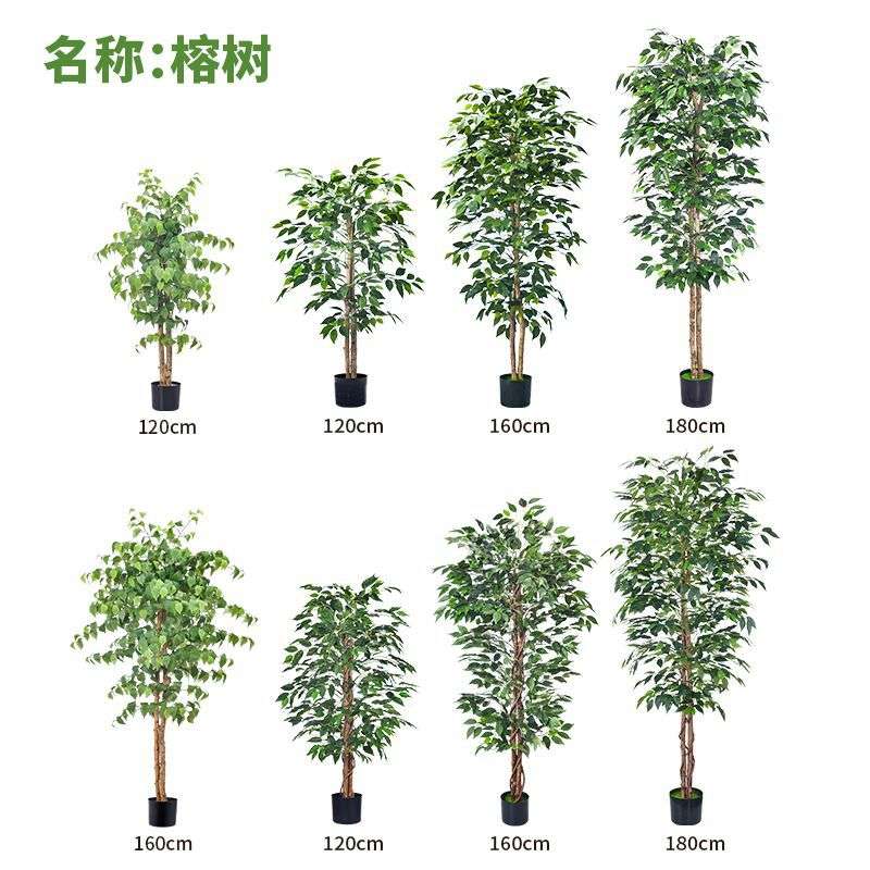 亚马逊跨境仿真榕树小型盆景绕藤榕树室内客厅仿真植物弯叶榕榕树