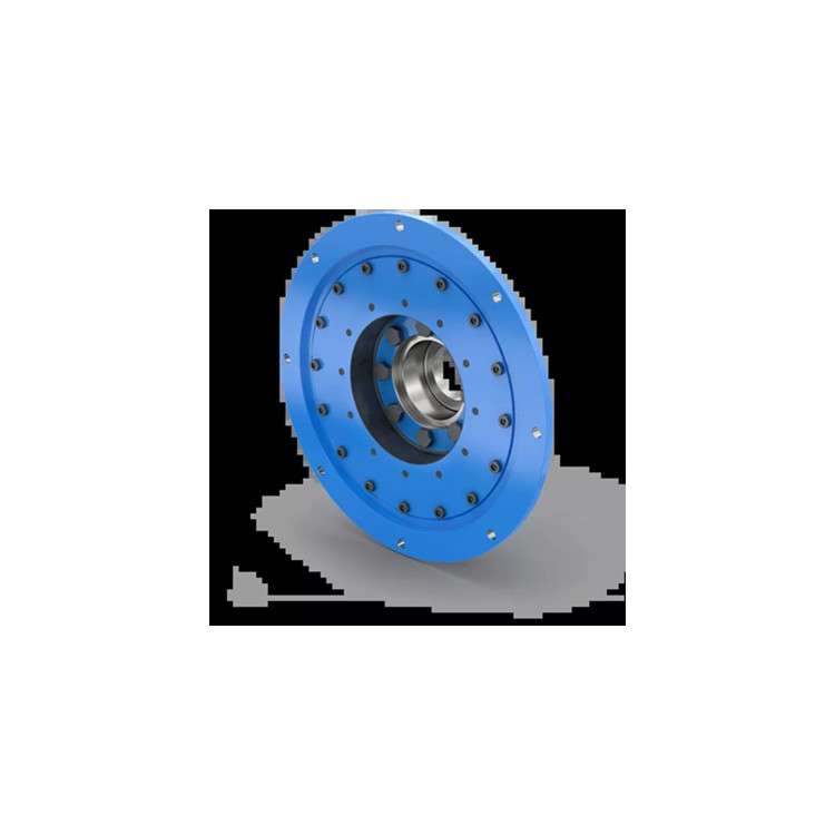 德国厂家reich-kupplungen 联轴器用于机械重工行业ACH3NN