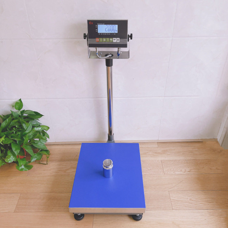 防爆本安电子秤200kg/10g打印