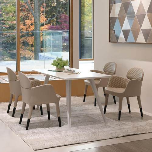 轻奢皮餐椅靠背北欧休闲简约时尚接待售楼处洽谈椅咖啡椅B356-1B