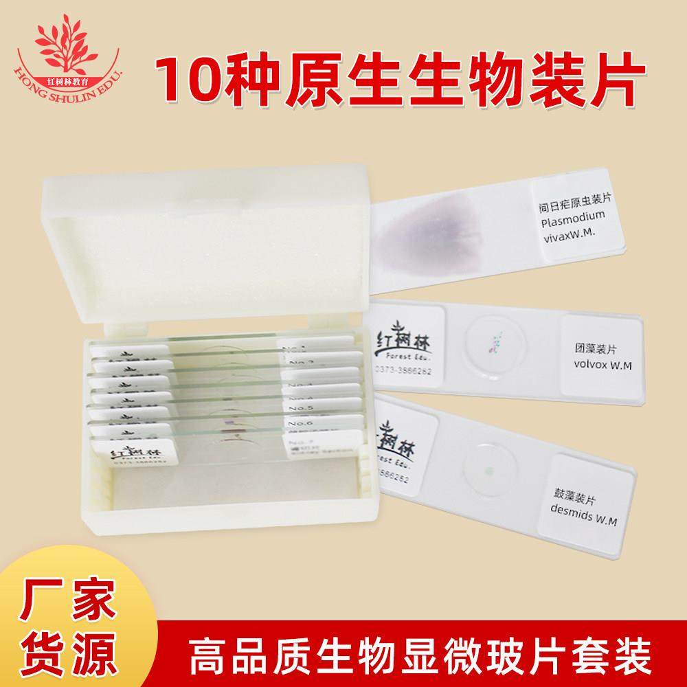 10种原生动物装片套装眼虫钟虫轮虫团藻鼓藻显像清晰显微玻片
