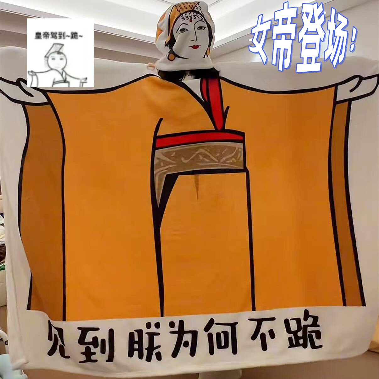 见到朕为何不跪龙图女王款空调午睡毯子搞怪毛毯稀奇古怪抽象毛毯
